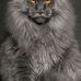 Sonja Coates - Facebook