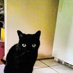 Sonja Coates - @coatessonja - Instagram