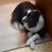 Sonja Coe - Facebook