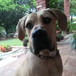 Sonja Coles - Facebook