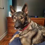Sonja Combs Anderson - @kaisers_momma18 - Instagram