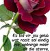 Sonja Cooper - Facebook