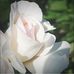 Sonia Crabtree - Facebook
