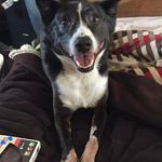 Sonali Craddock - @craddocksonali - Instagram