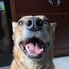 Jason Creech - @jason.creech - TikTok