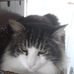 Sonia Krempp - Facebook
