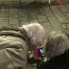 NEScavenger - @sonjadahlberg - TikTok