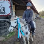 @sonja_dahlen - Instagram