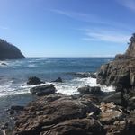 Sonja Daly - @brunymyislandhome - Instagram