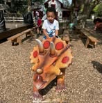 Sonja Dantzler - Facebook
