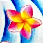 Sonja Dawson - Facebook