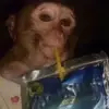 Sonja Delgado - @sonjadelgado523 - TikTok