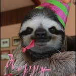 Sonja Fingerhut - @fingerhutsonja - Instagram
