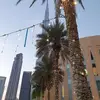 Sonja Fingerhut - @sonja.fingerhut - TikTok
