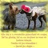 Sonja Forbes - @sonjagreyling749 - TikTok