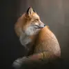 Sonja_Fox85 🦊 - @sonja_fox85 - TikTok