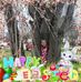 Sonja Fox - Facebook