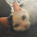 Sonja Frank - Facebook