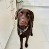sonjafrienduhl - @warrior800m - TikTok