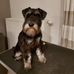 Sonja Gabriels - Facebook