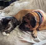 Sonja Gaither - Facebook