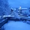 sonjabaumgartner9 - @sonjabaumgartner9 - TikTok