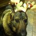 Sonja Gee - Facebook