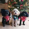 Sonja Geiger - @sonja.geiger1 - TikTok