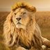 Sonja Gillespie - Facebook