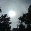 Sonja - @sonjagolten - TikTok