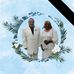 Sonja Goode - Facebook