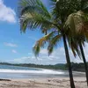 Sonja-PuraVida! - @sonjagoodman - TikTok