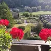 Sonja Gorec - @sonja.gorec1 - TikTok