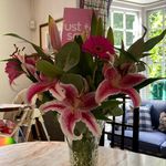Sonja Gorman - @sonja.gorman.16 - Instagram