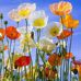 Sonja Gray - Facebook