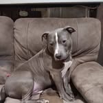 Sonja Griffin - @griffinss2 - Instagram
