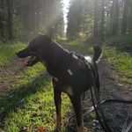 Sonja Groß - @sonjagross2 - Instagram
