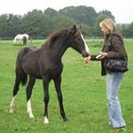 Sonja Grossauer - @sonjagrossauer - Instagram
