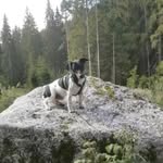 Sonja Gruber - @sonja.gruber.524 - Instagram