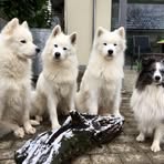 Sonja Grutter - Facebook