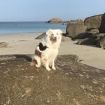 Sonja Pictures - @grutters3340 - Instagram