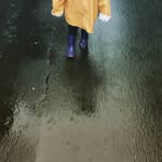 Sonja Guthrie - @nesthaekchenundfluechter - Instagram