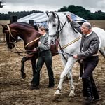 Sonja Guy Van Moer - @sonjaguyvanmoer - Instagram