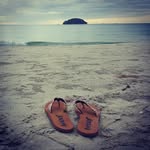 Sonja Haas - @sonja.407 - Instagram
