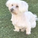 Sonja Haas - @sonja.haas.98096 - Instagram
