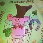 Sonja Haas - @sonjahaas9 - Instagram