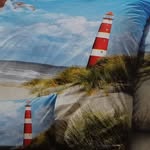 Sonja Haase - @sonja.haase.986 - Instagram