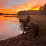 sonjaa - @sonja_haast - Instagram