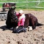 Sonja Haase - @sonysunshine0410 - Instagram