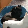 Sonja Haase - @sonja.haase7 - TikTok